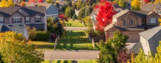 hoa denver 1